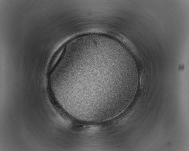 X0000094790436200711241405