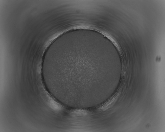 X0000094790437200711241405