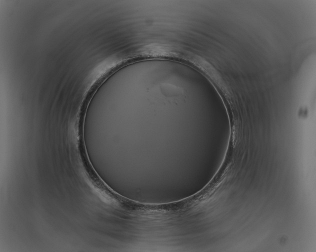 X0000094790438200711241405