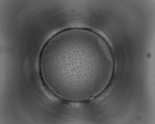 X0000094790439200711241405