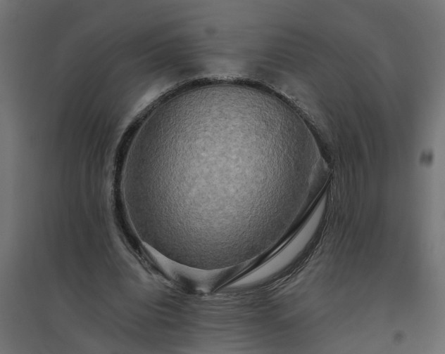 X0000094790440200711241405