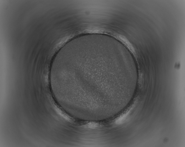 X0000094790441200711241405