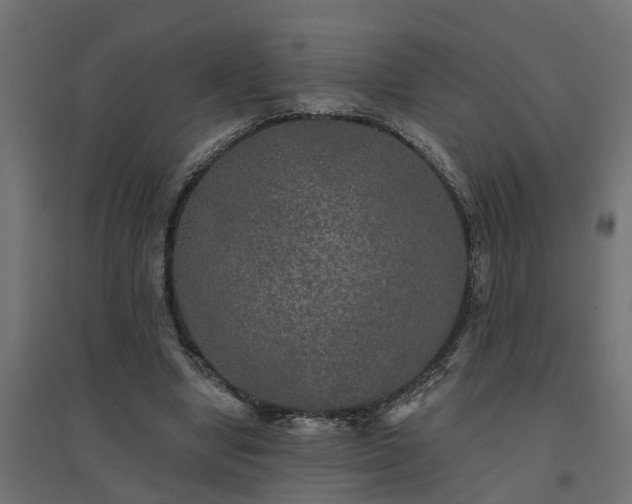 X0000094790442200711241405