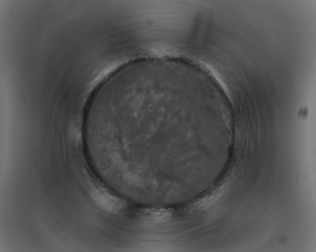 X0000094790443200711241405