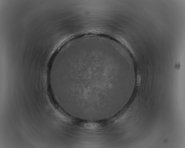 X0000094790444200711241405