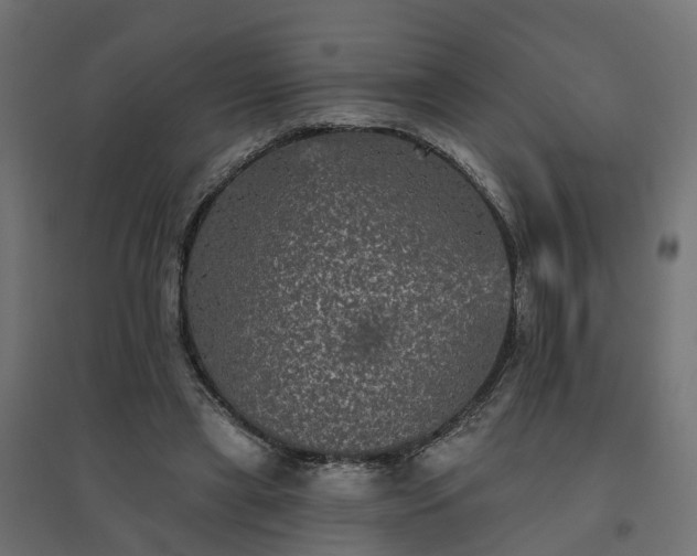 X0000094790445200711241405