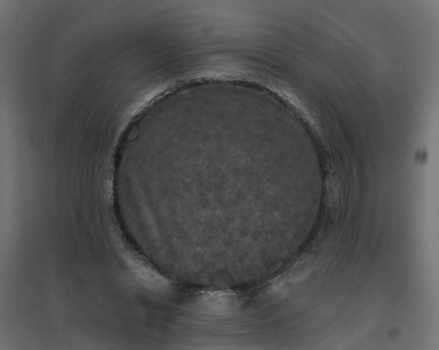 X0000094790446200711241405