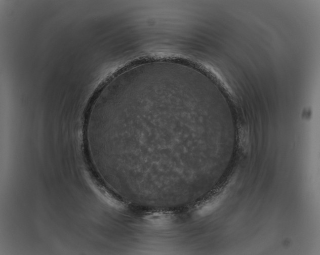 X0000094790447200711241405