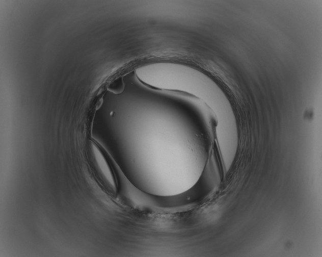 X0000094790448200711241405