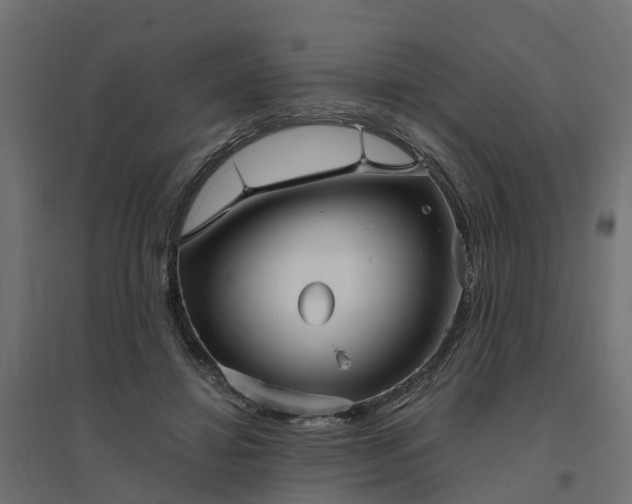 X0000094790452200711241405