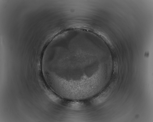 X0000094790453200711241405