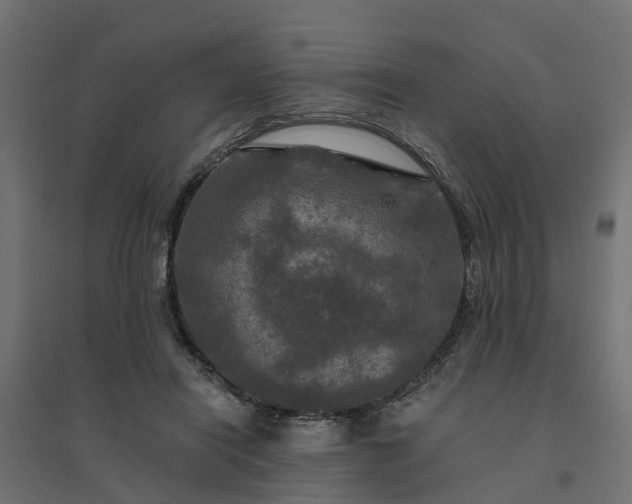 X0000094790454200711241405