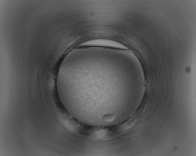 X0000094790456200711241405