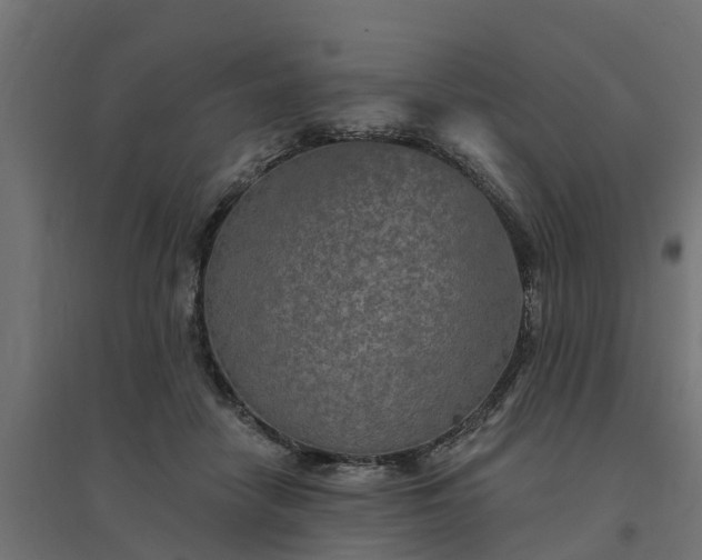 X0000094790458200711241405