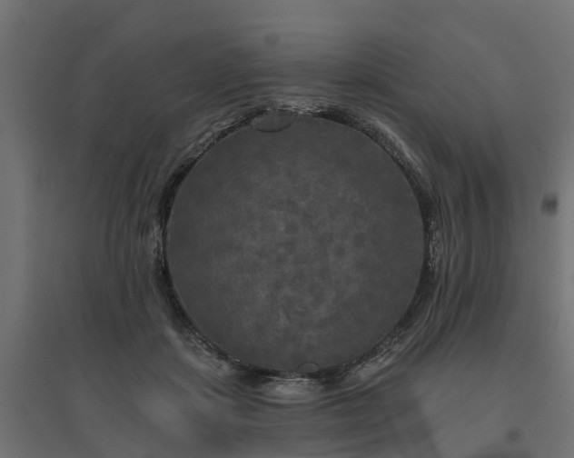 X0000094790459200711241405