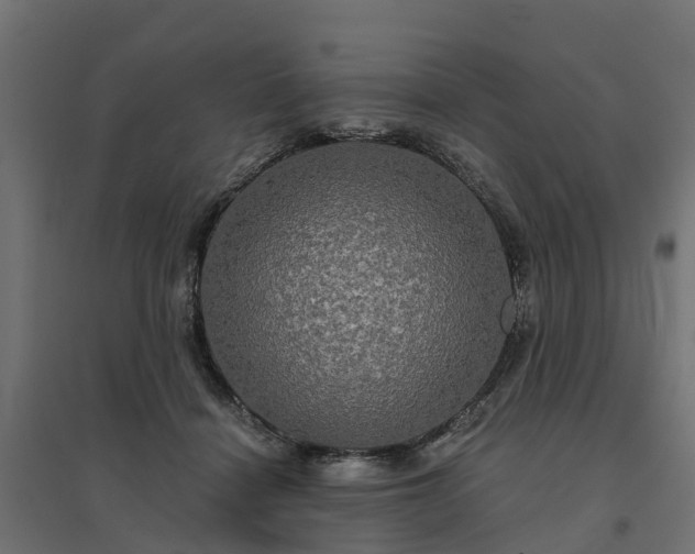 X0000094790460200711241405