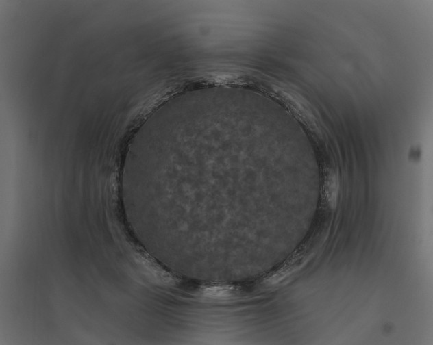 X0000094790461200711241405