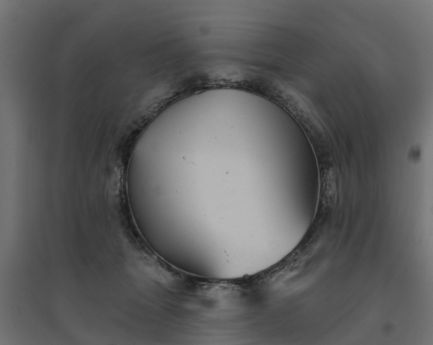 X0000094790463200711241405