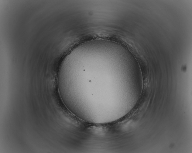 X0000094790464200711241405