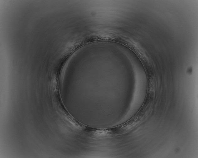 X0000094790465200711241405