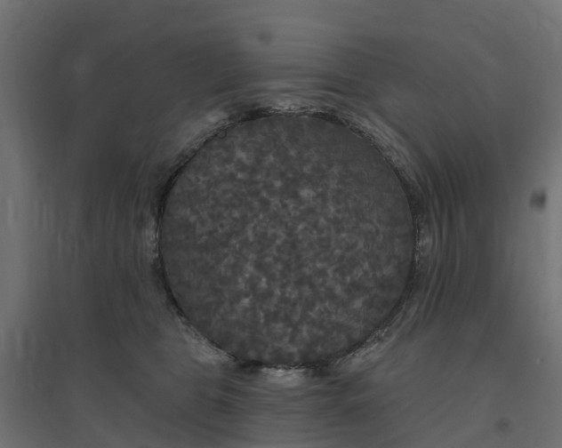 X0000094790469200711241405