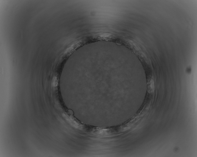 X0000094790472200711241405