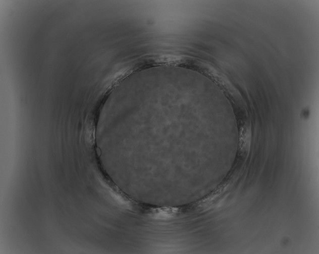 X0000094790474200711241405