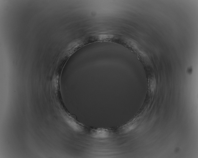 X0000094790475200711241406