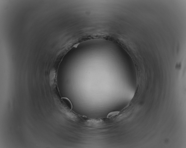 X0000094790480200711241406