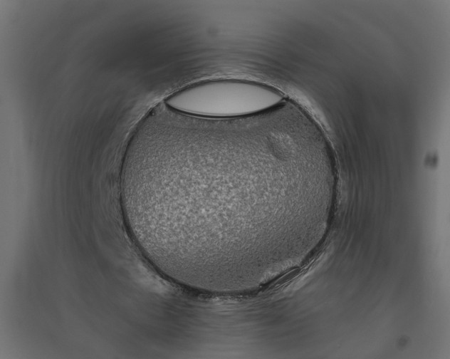 X0000094790481200711241405