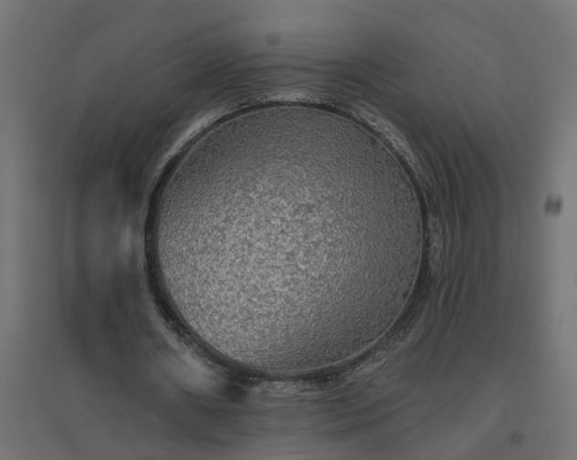 X0000094790482200711241405