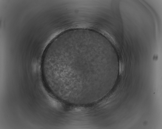 X0000094790483200711241405