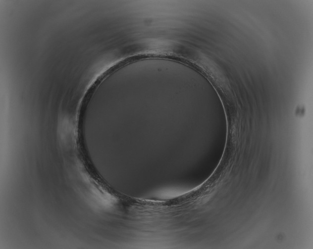 X0000094790484200711241405