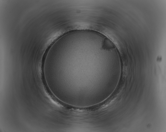 X0000094790485200711241405