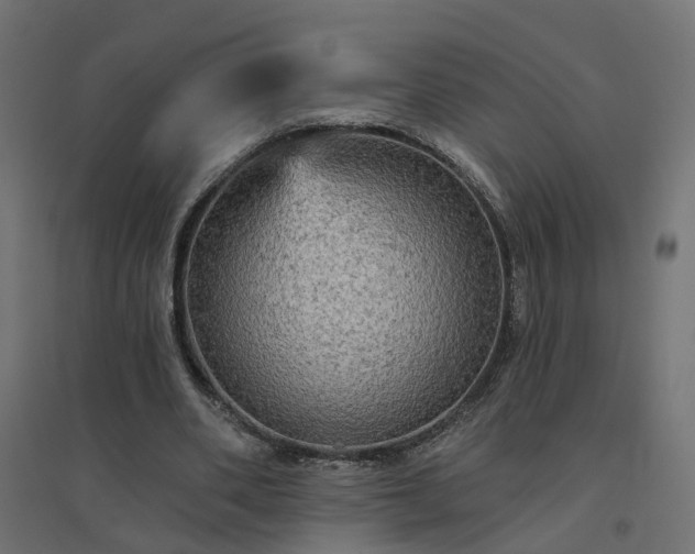 X0000094790486200711241405