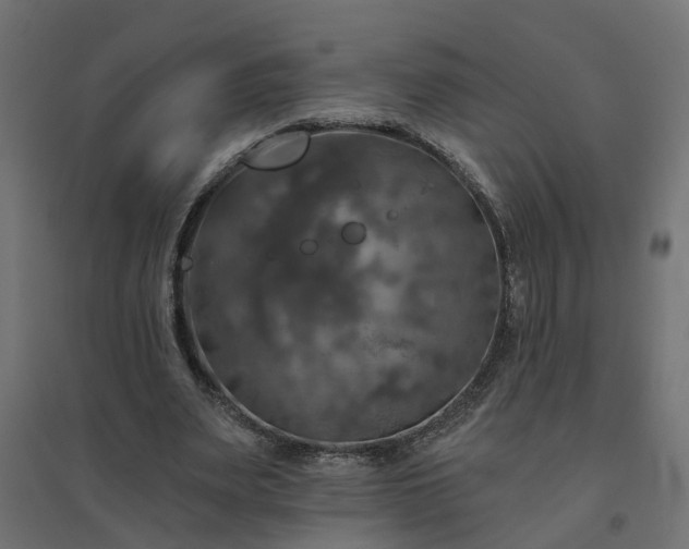 X0000094790487200711241405