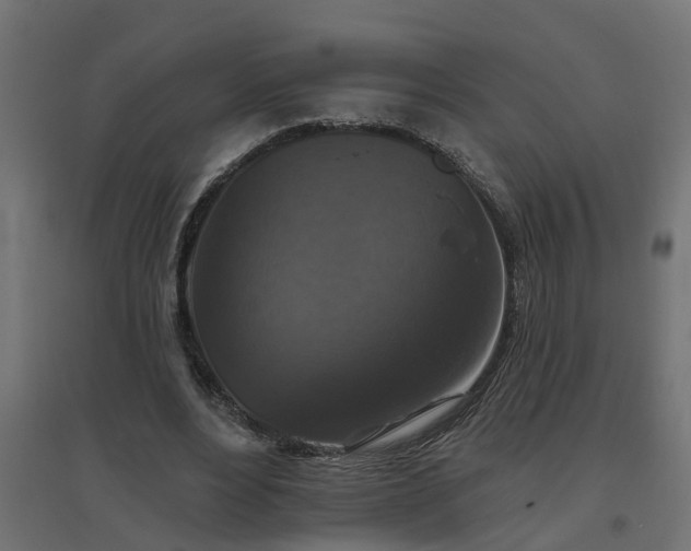 X0000094790488200711241405