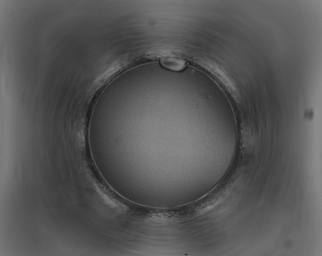 X0000094790489200711241405