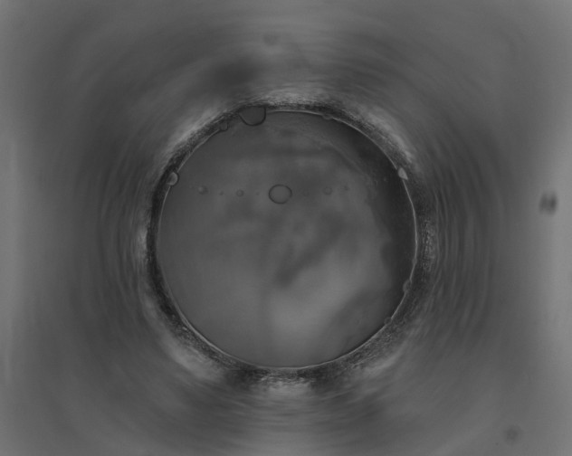 X0000094790491200711241405