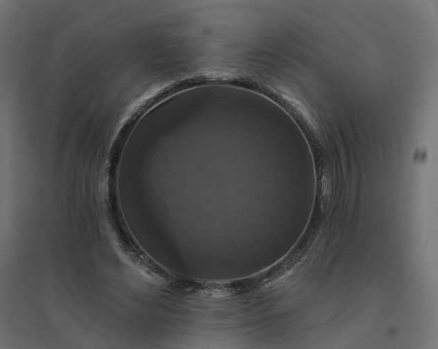 X0000094790492200711241405