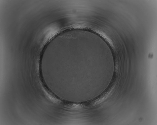 X0000094790493200711241405