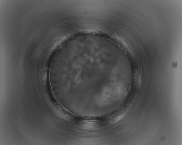 X0000094790495200711241405