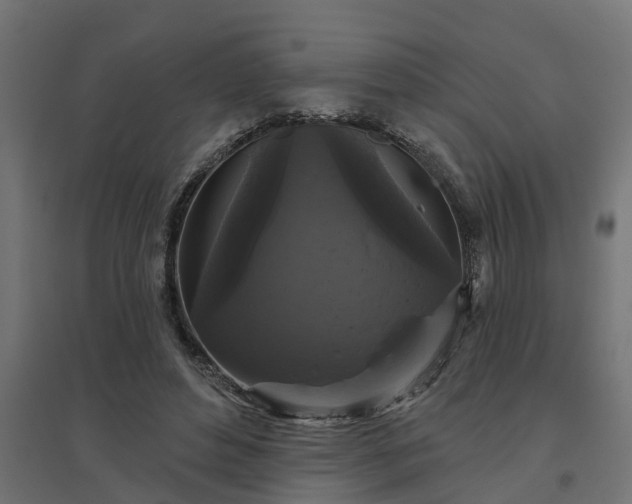 X0000094790496200711241405