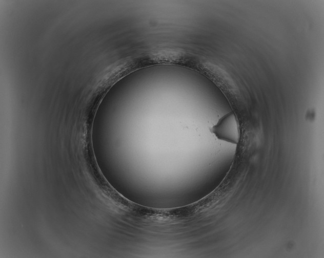 X0000094790498200711241405