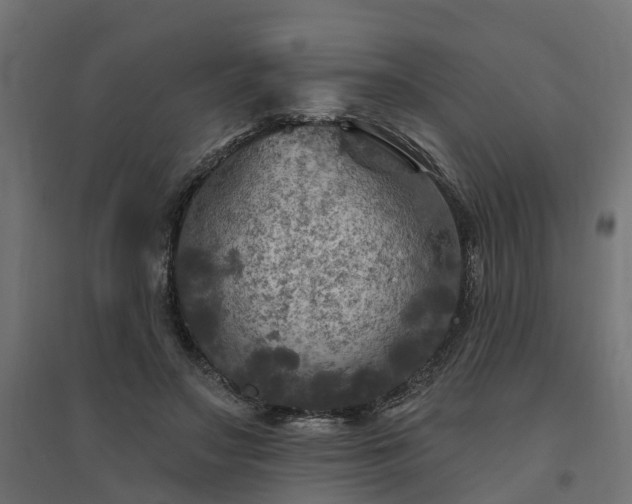 X0000094790499200711241405