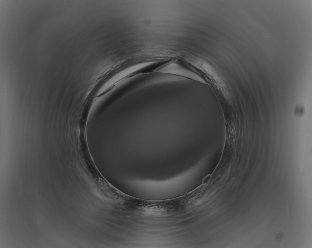 X0000094790500200711241405