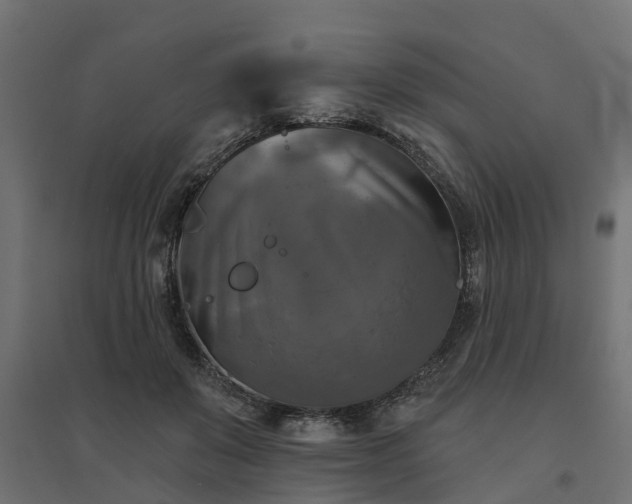 X0000094790503200711241405