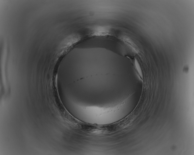 X0000094790504200711241405