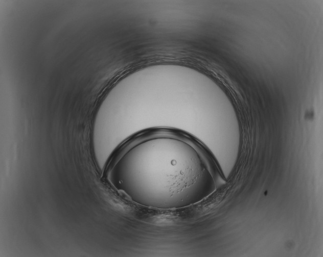 X0000094790505200711241405