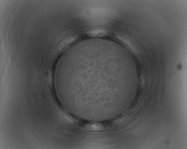 X0000094790506200711241405